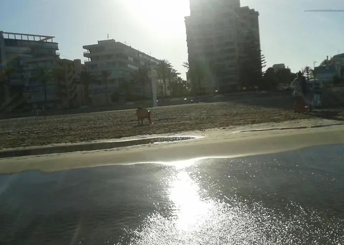 Voramar Primera Linea De Mar El Campello